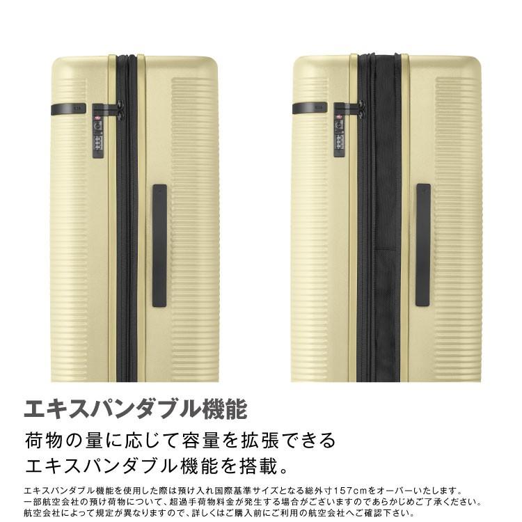 最終値下げ❗️ace.TOKYO LABEL ウォッシュボードZ (91L