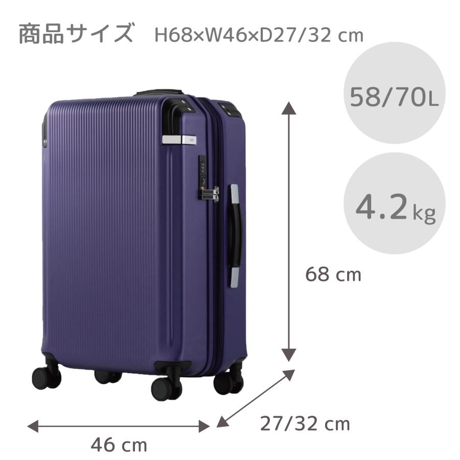 ace. TOKYO LABEL スーツケース キャリーケース エース ペン ace. TOKYO LABEL スーツケース キャリーケース エース ペン