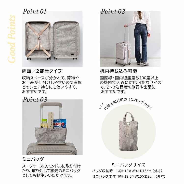 ＼公式／スーツケース HaNT ハント KOKONT ココント 機内持込み 34L キャスターストッパー 双輪キャスター フロントポケット付き ドリンクバッグ 4輪 05513の画像