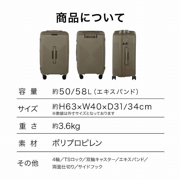 Ace（エース） RIMINI リミニ INJ417 スーツケース TSロック 軽量 双輪