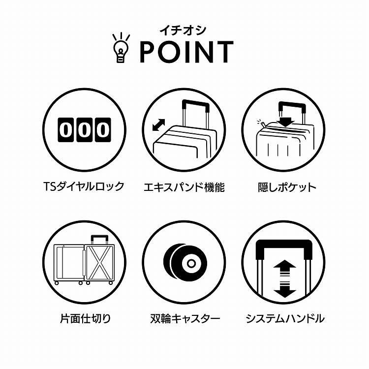 ACE エース オーバル2 スーツケース キャリーケース ファスナー TSダイヤルロック 4輪 双輪 エキスパンダブル Lサイズ LLサイズ 90L 111L 05913の画像