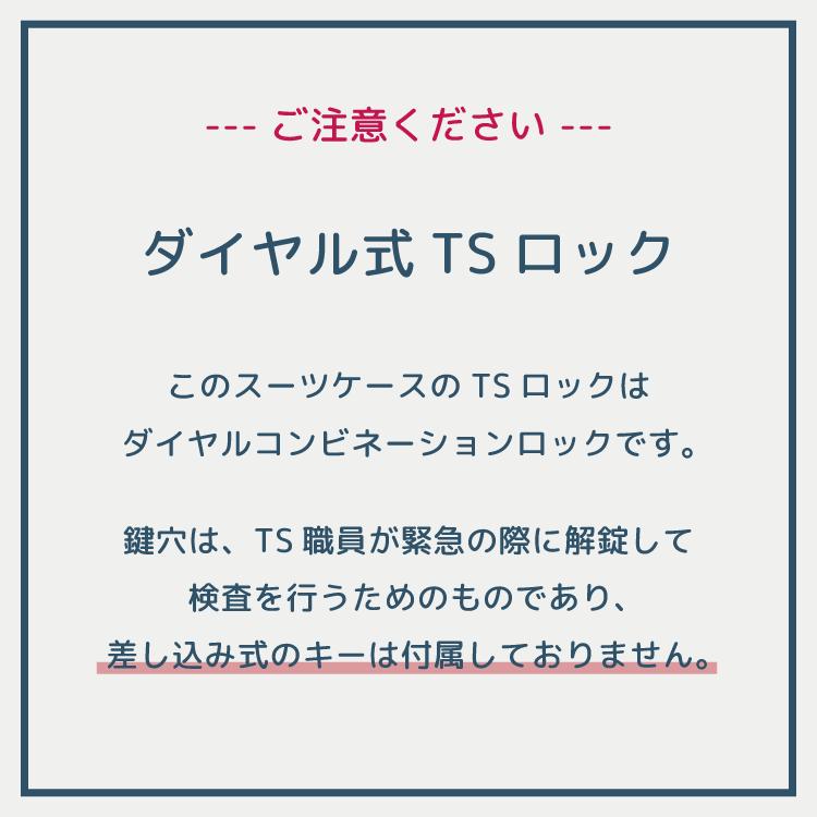 エース公式 スーツケース  機内持ち込み HaNT ハント ノートル 06881 キャリーケース キャリーバッグ ストッパー Sサイズ 31リットルの画像