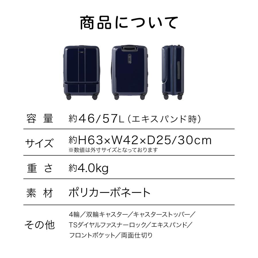 Ace 公式 スーツケース ACE フォールズ Mサイズ フロント