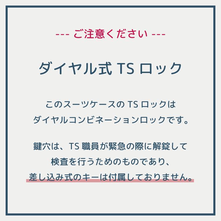 公式スーツケース ACE ラディアル　Lサイズ ダブルキャスター ファスナー TSロック搭載 おしゃれ 出張 82Ｌ 06973｜aceonlinestore｜25