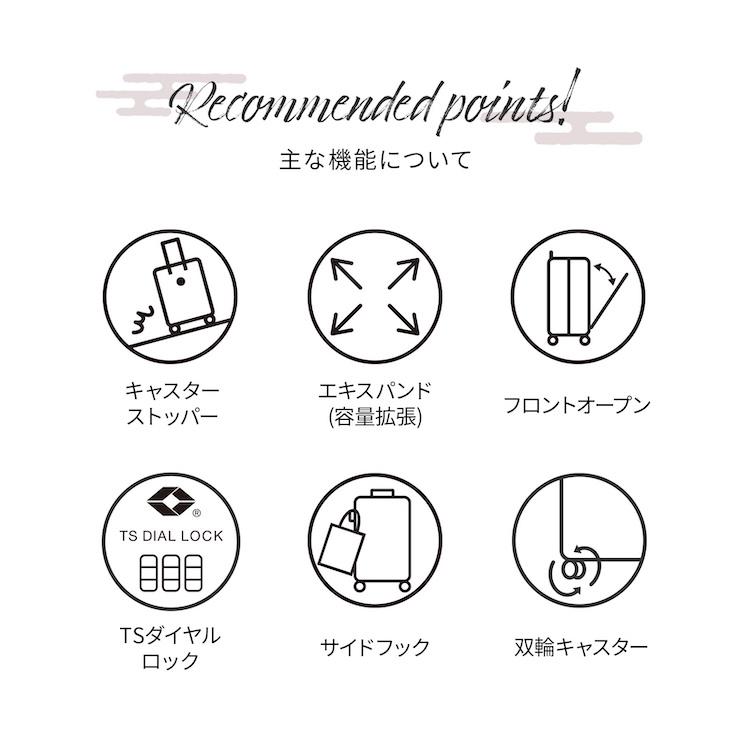 ace. エース公式 スーツケース キャリーケース 機内持ち込み Sサイズ
