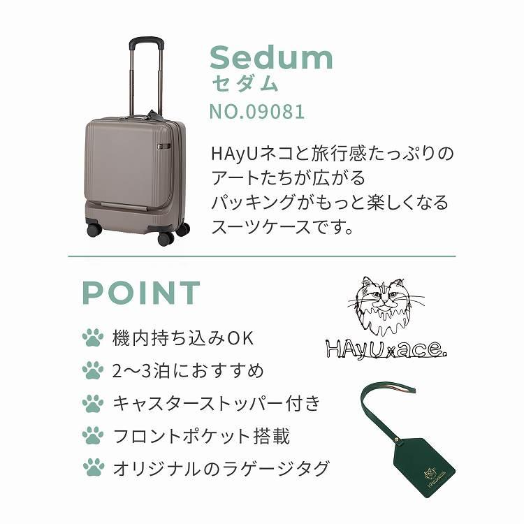 ＼エース公式／HAyU ace. TOKYO スーツケースハユ エース トーキョー 40リットル 2-3泊 3.3kg Sedum セダム 機内持込 キャスターストッパー 双輪 09081の画像
