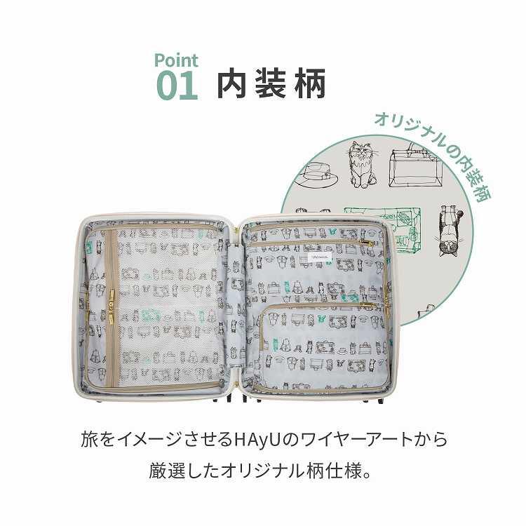 ＼エース公式／HAyU ace. TOKYO スーツケースハユ エース トーキョー 40リットル 2-3泊 3.3kg Sedum セダム 機内持込 キャスターストッパー 双輪 09081の画像