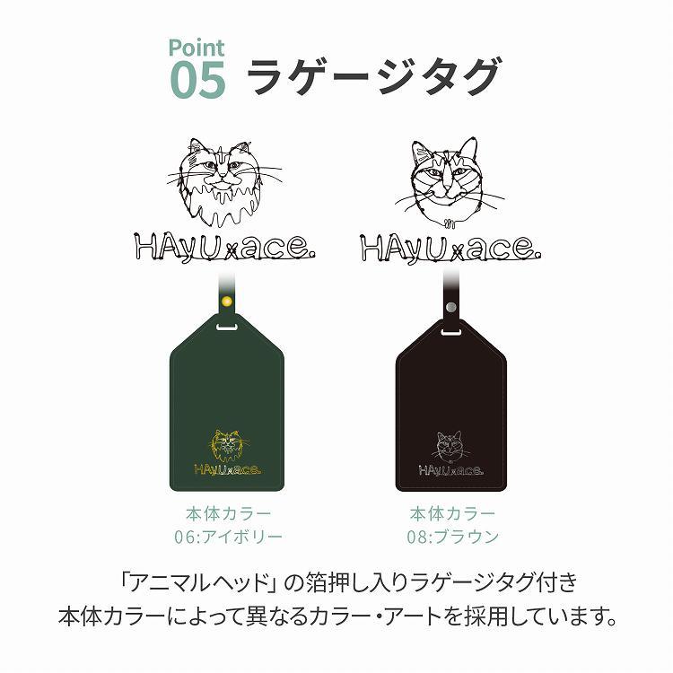 ＼エース公式／HAyU ace. TOKYO スーツケースハユ エース トーキョー 40リットル 2-3泊 3.3kg Sedum セダム 機内持込 キャスターストッパー 双輪 09081の画像