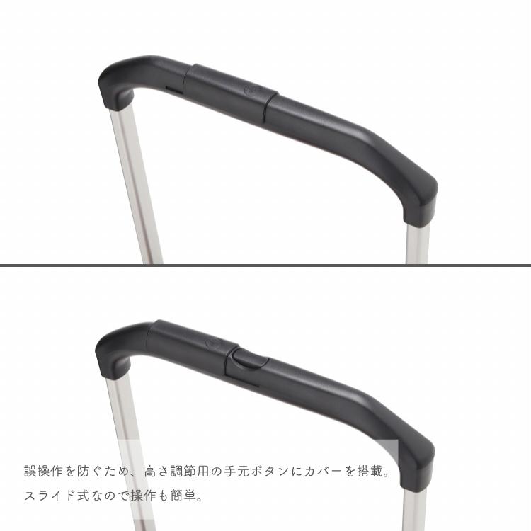 Ace（エース） soelte/ソエルテ カランド2 お買い物キャリー
