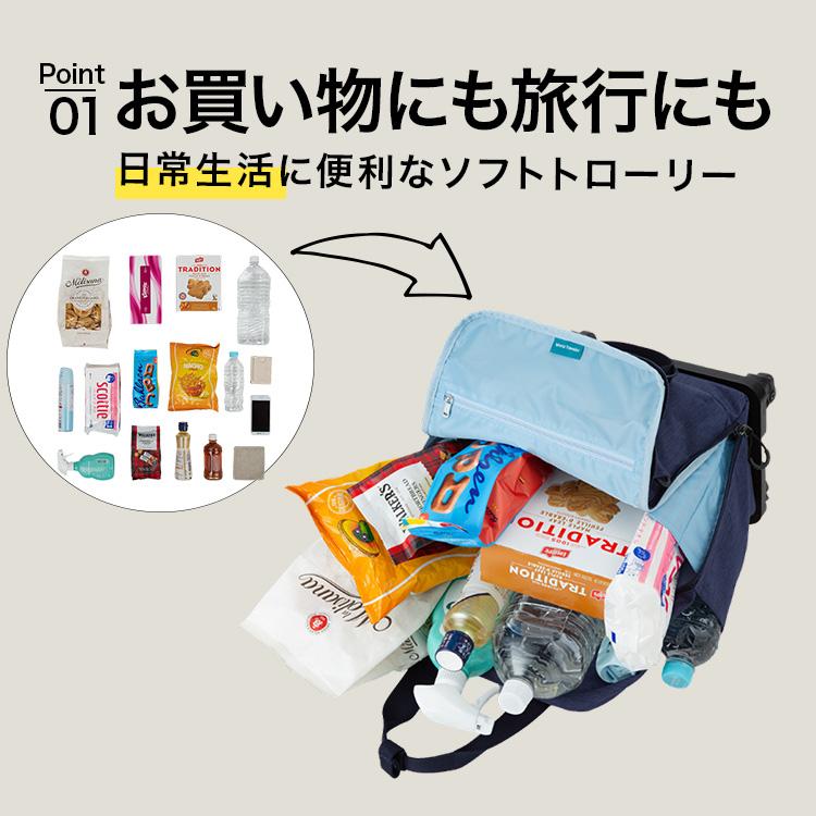 World Traveler エース公式 スーツケース ソフトトローリー 機内