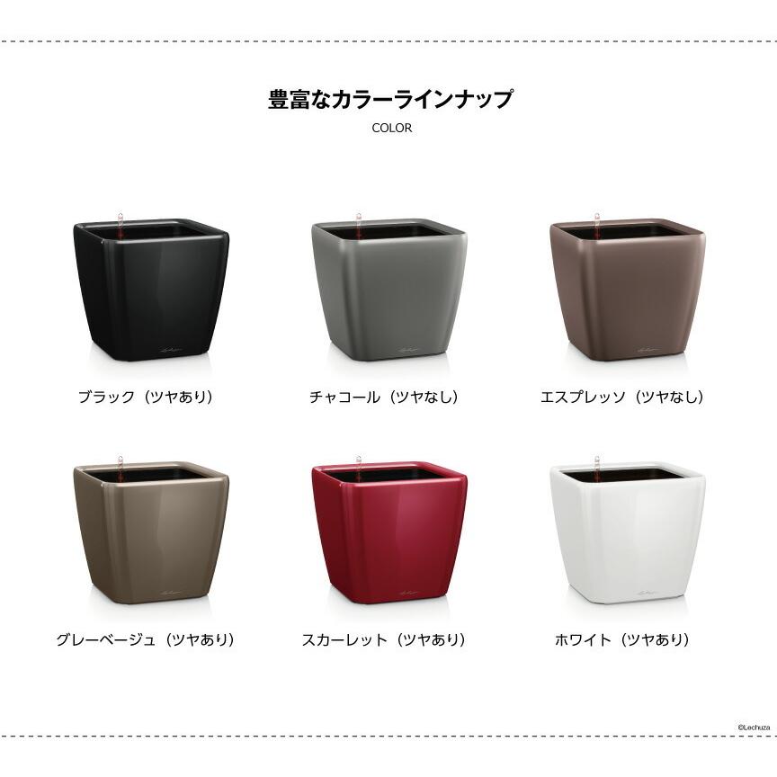 送料・代引手数料無料】ドイツ製植木鉢 室内、屋外でも使える底面給水