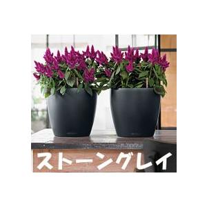 ドイツ製植木鉢 室内、屋外でも使える底面給水型軽量プランター