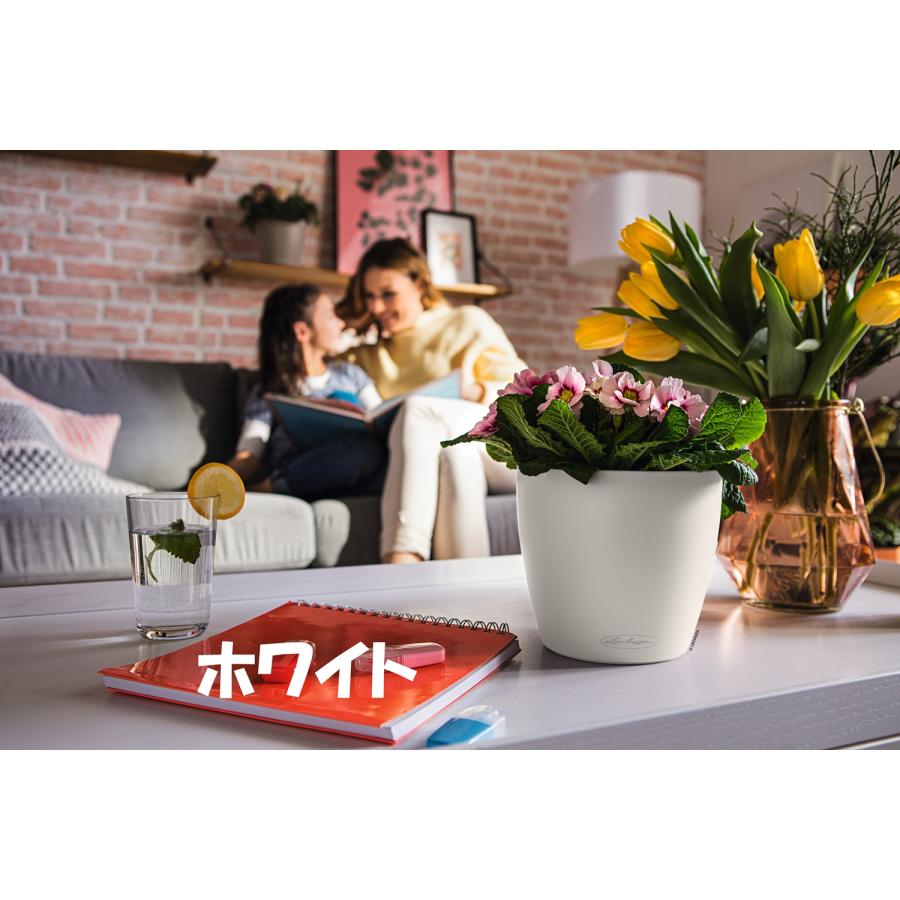 ドイツ製植木鉢 室内、屋外でも使える底面給水型軽量プランター