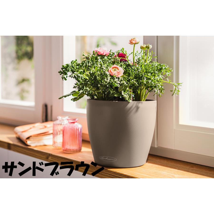 エバーフレッシュ♪ 水切れ安心•底面給水型プランター♪ ドイツ製植木鉢 室内、屋外でも使える底面給水型軽量プランター