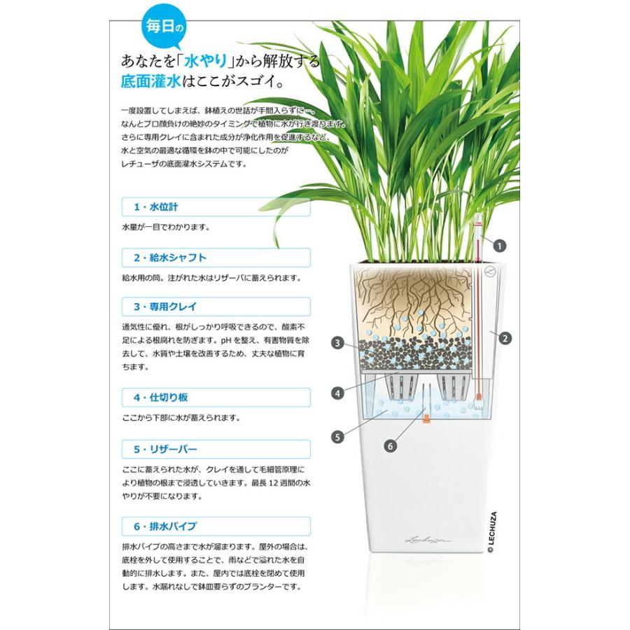 【送料・代引手数料無料】ドイツ製植木鉢　室内、屋外でも使える底面給水型軽量プランター【レチューザ・コラム　40】皿鉢不要_7