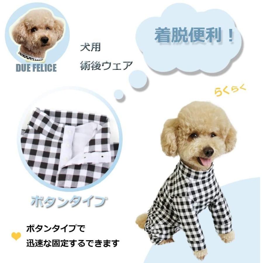 Due Felice 犬 ギガランキングｊｐ