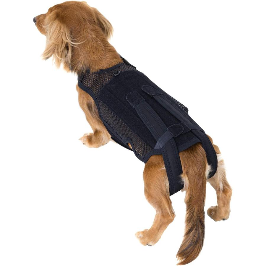 50%OFF アニフル anifull わんコルプロ ブラック S 犬用コルセット 