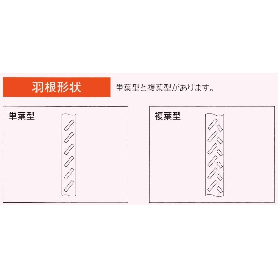 送料無料 Skltaihei 大平産業 百葉箱小型4号 単葉型 本体のみ 脚部別売り H4 Ht 組立式 温湿度管理 温度 空調管理 学校教材 気象観測 099 1103 現場用品専門ecストア 現場監督 通販 Yahoo ショッピング