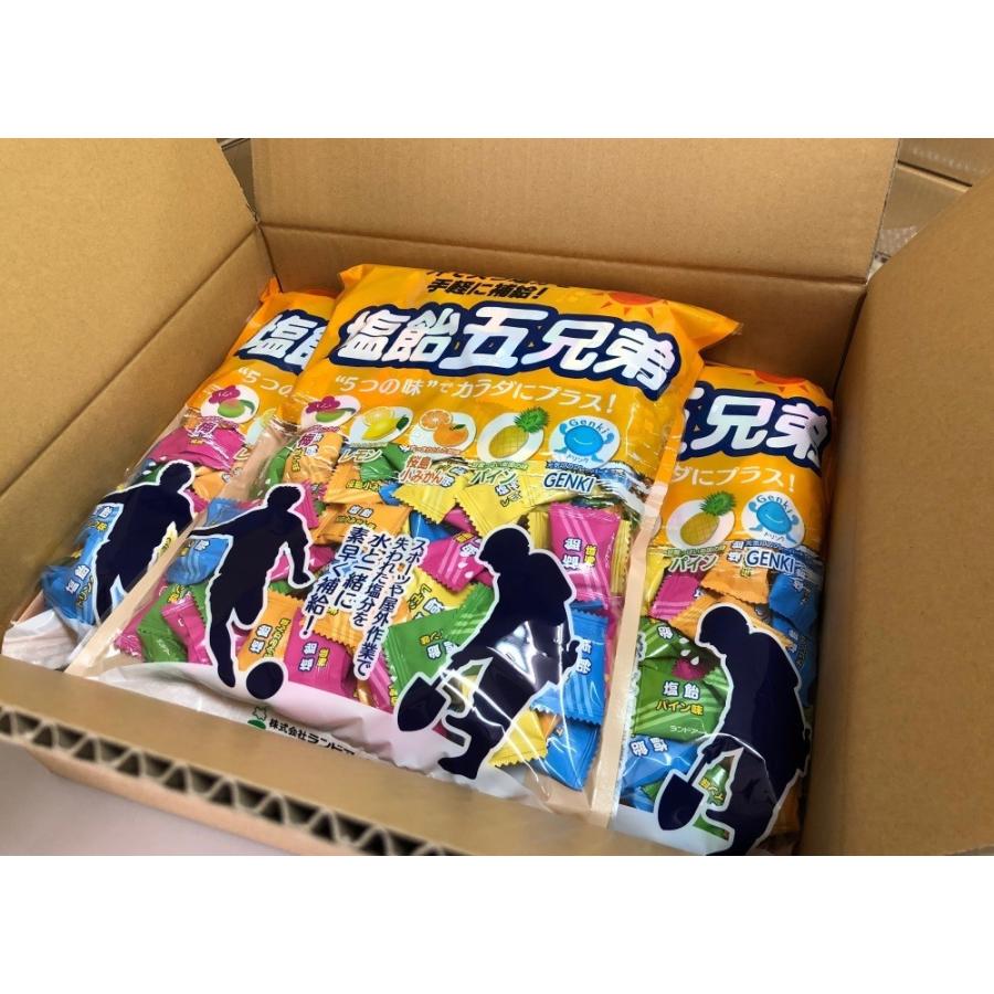 50 Off 21年最新入荷 まとめ買い ランドアート 塩飴五兄弟 800g袋 X 10袋 約00粒 箱買い 熱中症対策グッズ 塩分補給 塩 飴5兄弟 塩飴５兄弟 海外輸入 Orientalweavers Com