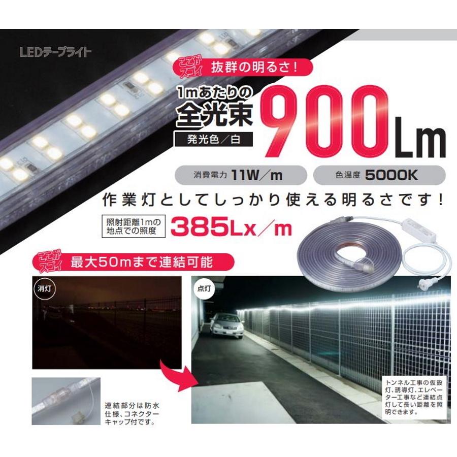 卸売り HATAYA LEDテープライトのみ 10ｍタイプ単体 発光色 白 LTP-10