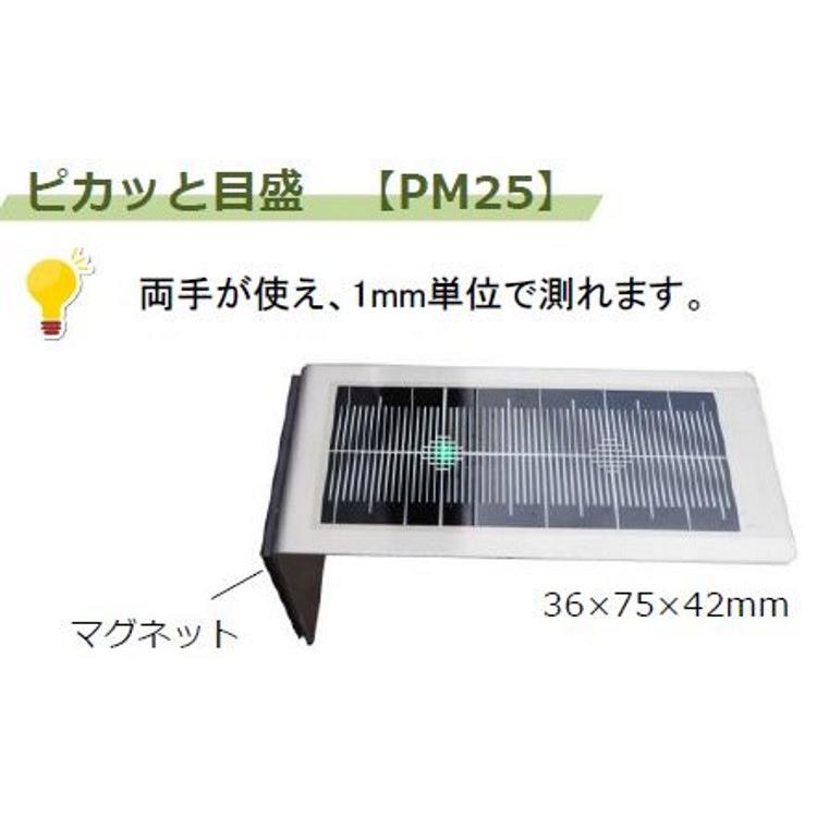 人気トレンド レーザー下げ振り 本体1台ピカッと目盛2台 Wポイント Wpv 02 日本最大級 Greenzonwheelz Com