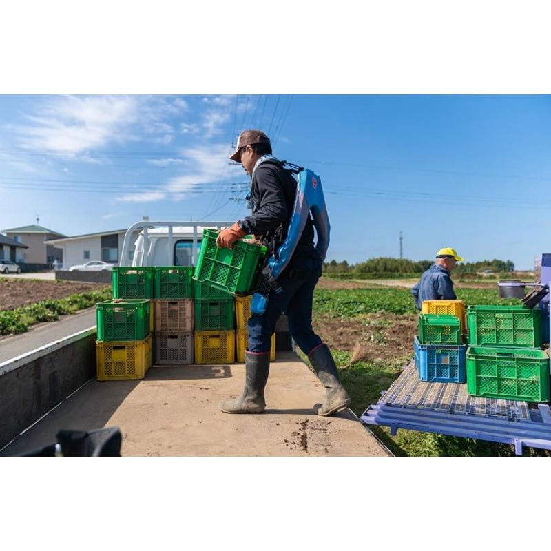 マッスルスーツ Every イノフィス S-Mサイズ タイトフィット