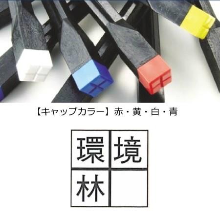 文字入りキャップ 【環境林（十字）】 リプロ デルタミニ40  
