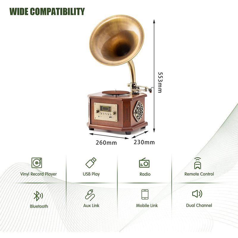 HOFEINZ 天然木材 蓄音機 純銅ホーン 工芸品 マルチレコードプレーヤー/Bluetooth4.2 /USB/FM ラジオ HOFEINZ ラジオ PE1743818852(15308円)