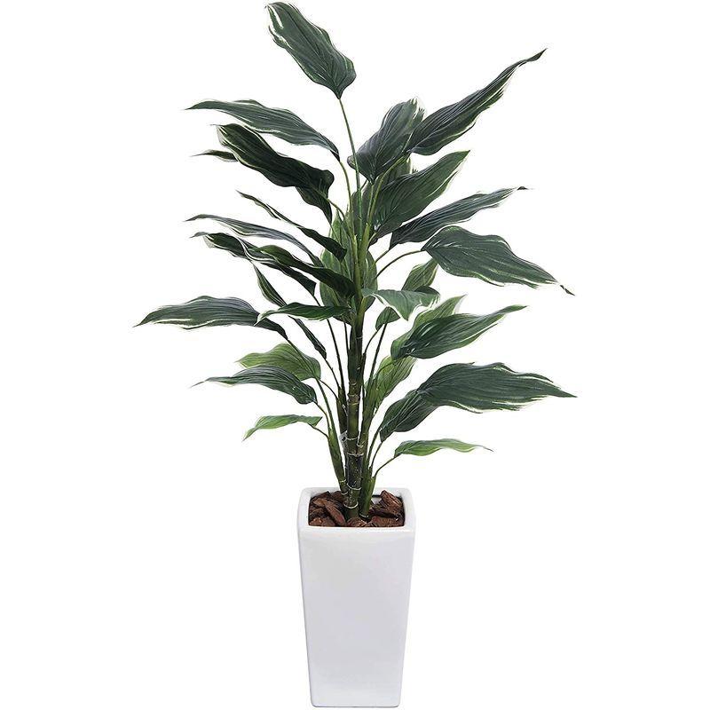 フェイクグリーン 大型 ホスタ プラント 130cm ギボウシ 斑入り SC/CT触媒加工済ta-7900sc 大型 ホスタ プラント 130cm ギボウシ 斑入り SC/CT触媒加工済ta 7900sc