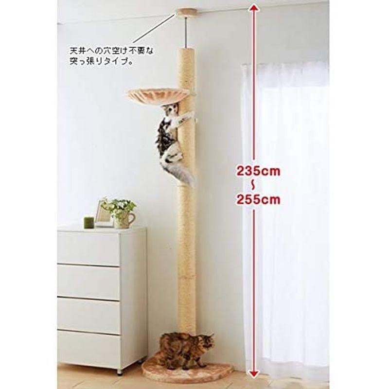 おうちで木登りタワー シングル （突っ張り型キャットタワー） 猫タワー 爪とぎ ハンモック ストレス解消 安定感 省スペース ハンモック シングル 突っ張り型キャットタワー 猫タワー 爪とぎ ストレス解消 安定感 省スペース サイズ G1540966525(13528円)