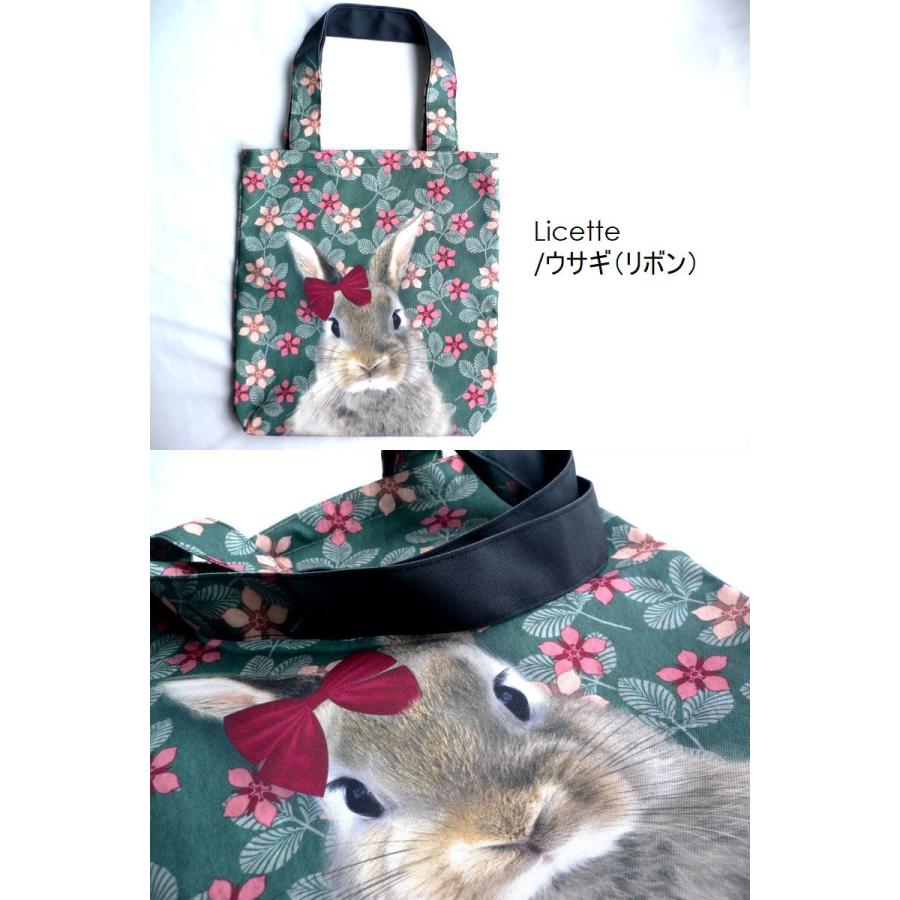 ドチャックとトートバッグのセット LUCIE DANCETTE リュシー ダンセット バッグ ポリエステル