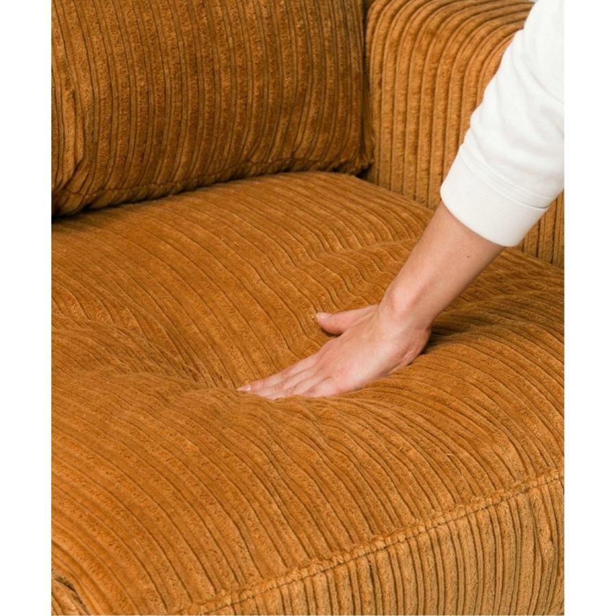 ACME Furniture（アクメファニチャー） JETTY feather SOFA 2P(L