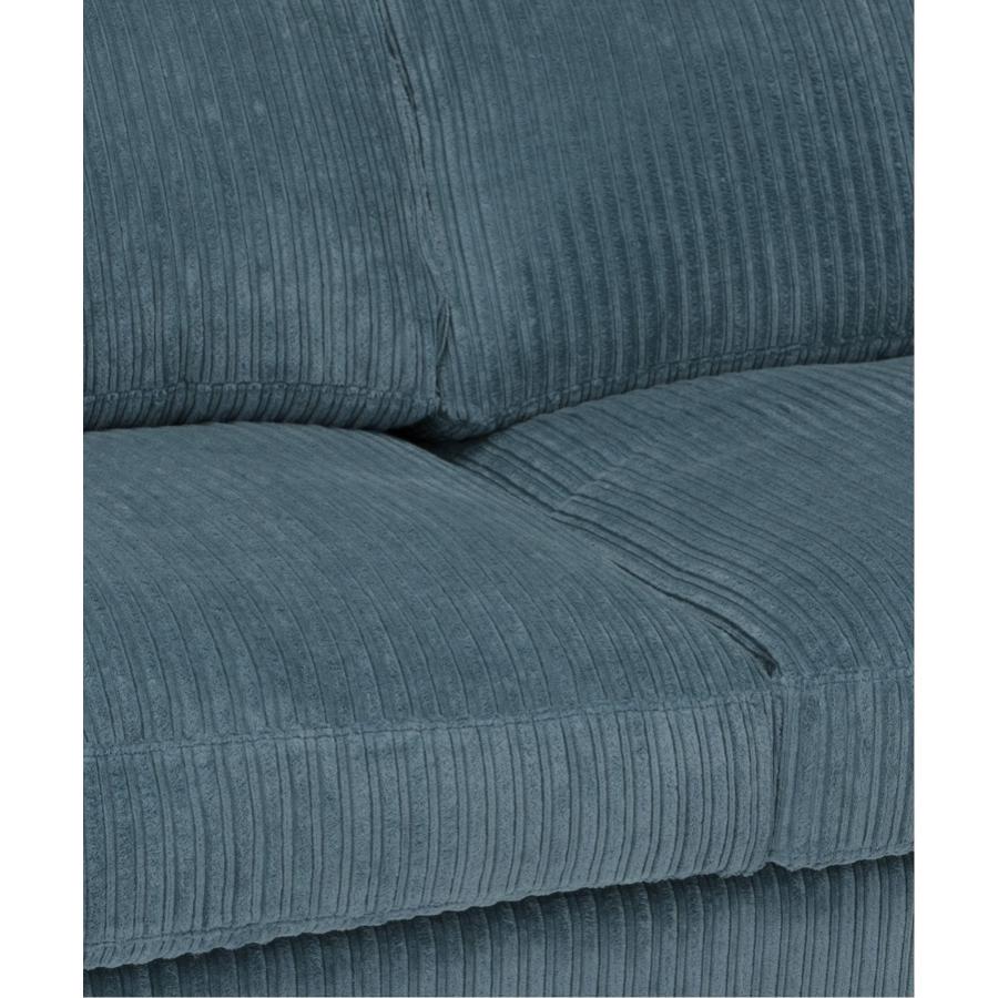 ACME Furniture アクメファニチャー JETTY feather SOFA 2SEATER AC-07 NV ジェティー フェザー ソファ 2人掛け ネイビー_4
