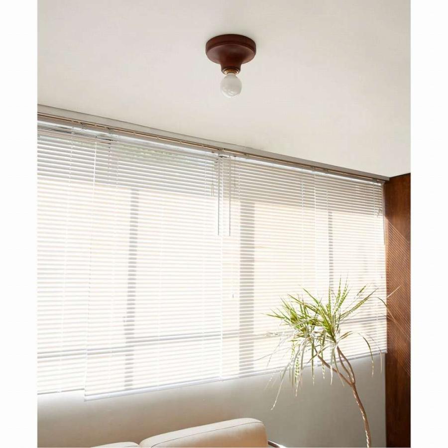 ACME Furniture（アクメファニチャー） IRVIN CEILING LAMP アーヴィン