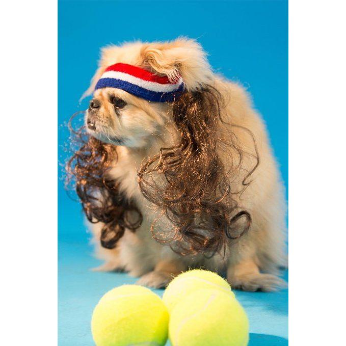 マレット １００ アメリカ犬 ブルー ホワイト レッド 犬用 ヘッドバンド ブラウン 15cm ウェイブ ヘアー ダサい 髪型 後ろ 襟足 長髪 年賀状 戌年 アカムスyahoo 店 通販 Yahoo ショッピング