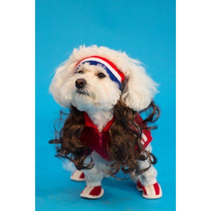 マレット １００ アメリカ犬 ブルー ホワイト レッド 犬用 ヘッドバンド ブラウン 15cm ウェイブ ヘアー ダサい 髪型 後ろ 襟足 長髪 年賀状 戌年 アカムスyahoo 店 通販 Yahoo ショッピング