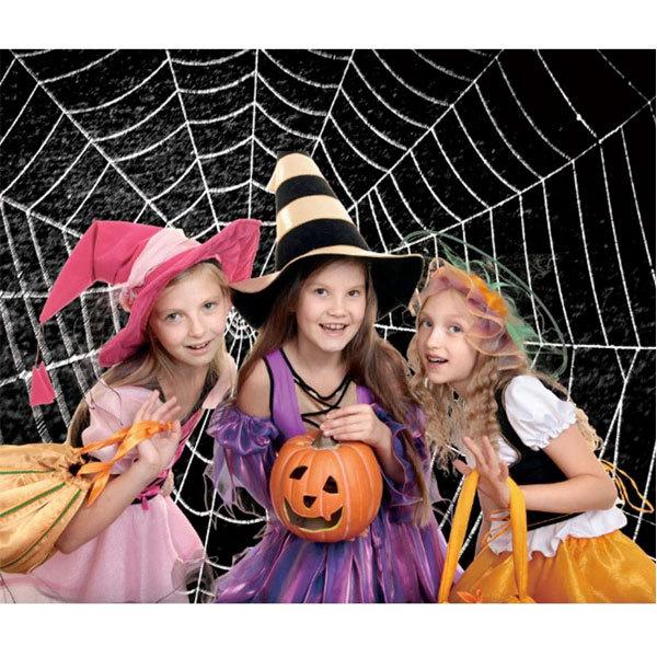 蜘蛛の巣 背景 ハロウィン 飾り デコレーション バックドロップ ハロウィーン 飾り 装飾 オーナメント クモ 2 1m アカムスyahoo 店 通販 Yahoo ショッピング
