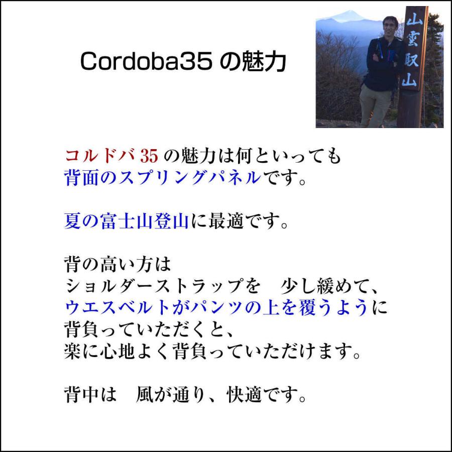 登山リュック 35L 日帰り 低山 ハイキング スプリングネット搭載 Aconcagua Cordoba 35 | Aconcagua | 04