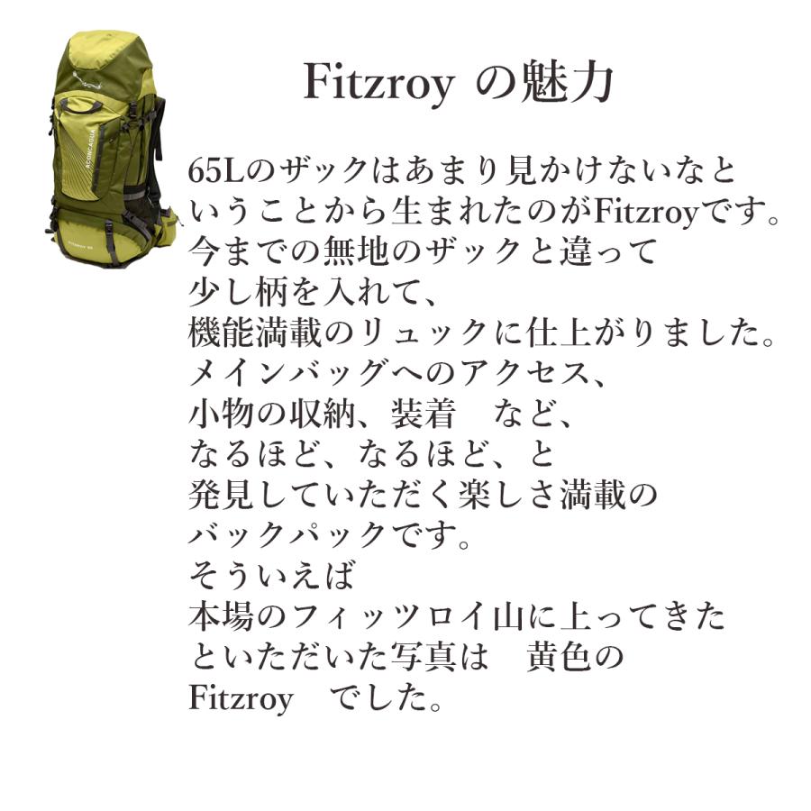 登山リュック 65L 大容量 大型 丈夫 登山用 バックパック Aconcagua Fitzroy フィッツロイ | Aconcagua | 12