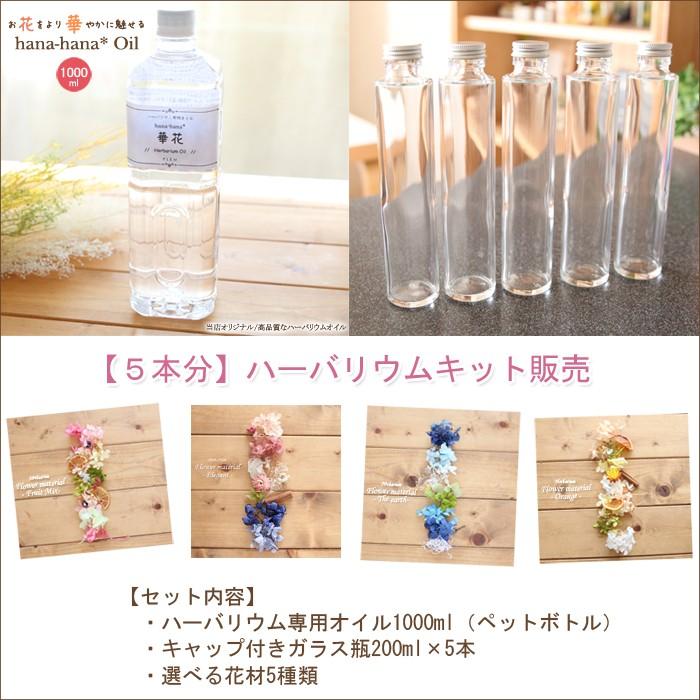 ハーバリウム キット 花材 手作り 【17％OFF】【5本分】ハーバリウムお試しキット【Aタイプ】（オイル1本、ガラス瓶5本、花材セット5種類）｜acorn-style