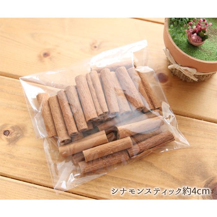 シナモンスティック約4cm（約30本）【大地農園】 : 花ギフト・手作り