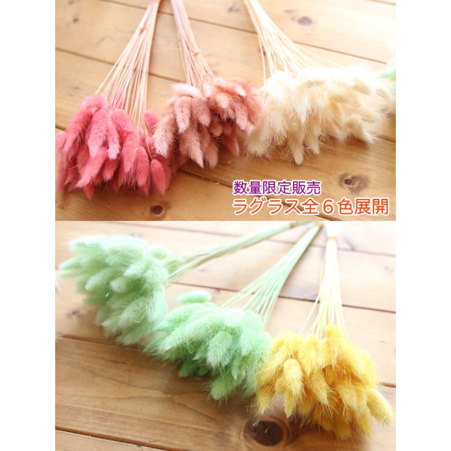 Sale 104 Off 数量限定 ラグラス ドライフラワー