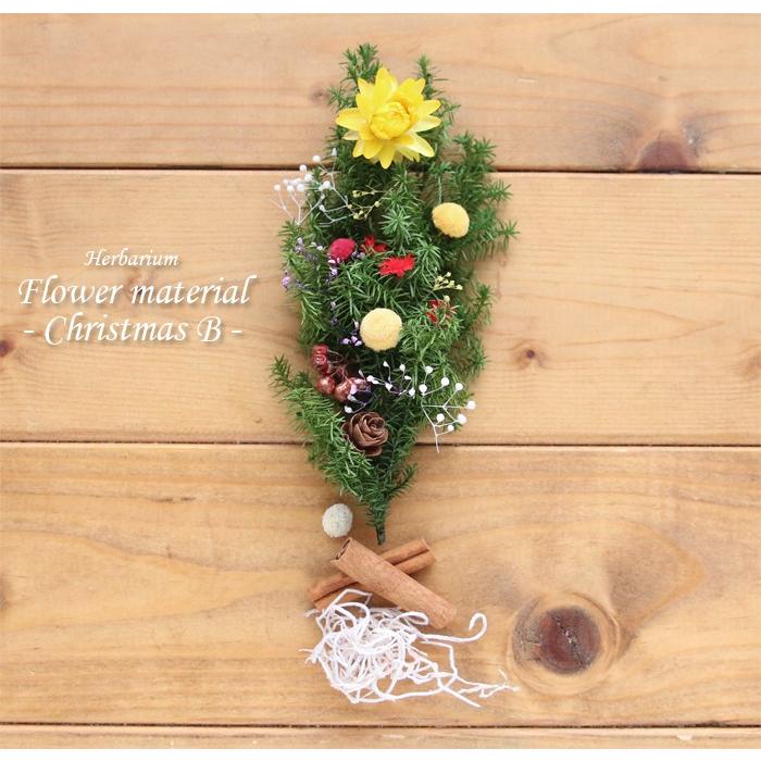 クリスマス Xmas ハーバリウム キット 手作り スターターキット 花材 クリスマス ハーバリウム花材セット１本分 クリスマスb ハーバリウム花材のお店acornstyle 通販 Yahoo ショッピング