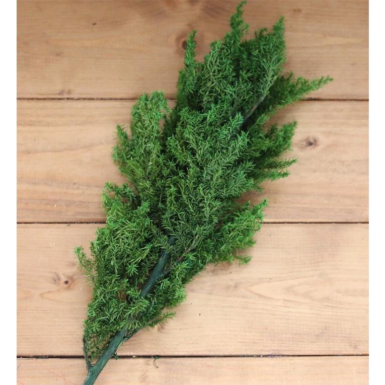 大地農園 ソフトヒムロスギ・ショート（フォレストグリーン）【小分け