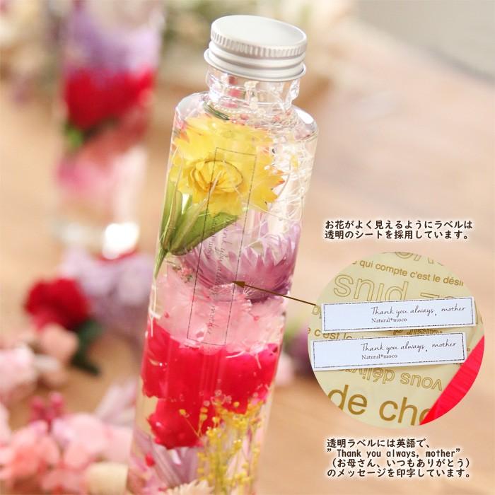 遅れてゴメンネ 母の日過ぎてのお届け ラッピング カード付 母の日ハーバリウム 完成品 感謝のカーネーション プレミアム ハーバリウム花材のお店acornstyle 通販 Yahoo ショッピング