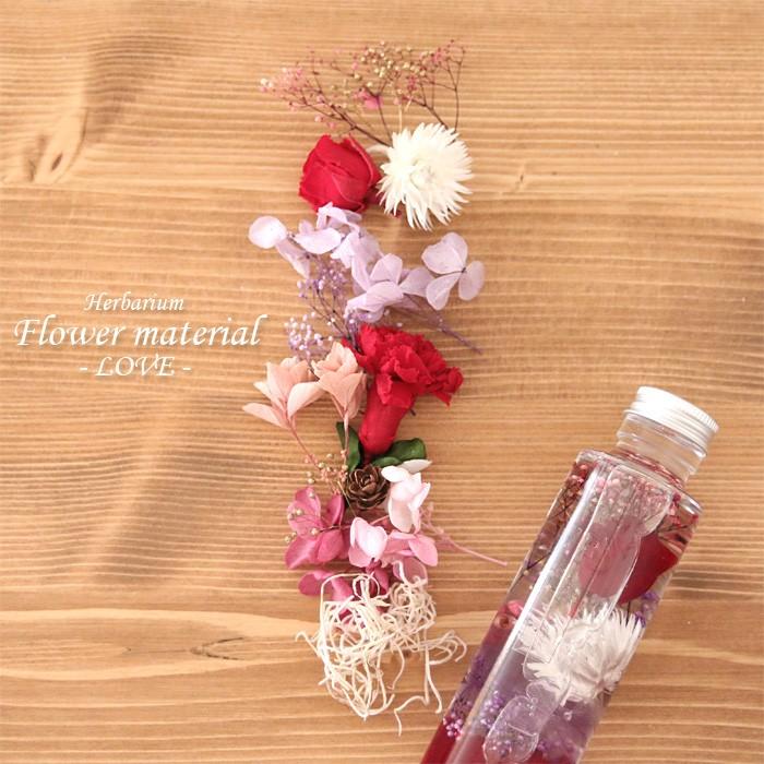 母の日 ハーバリウム 花材キット 1本分 （愛のカーネーション・プレミアム）【花材のみ】 キット 手作り 花材 赤（Yahoo!・花ギフト・手作りキット Natural moco）