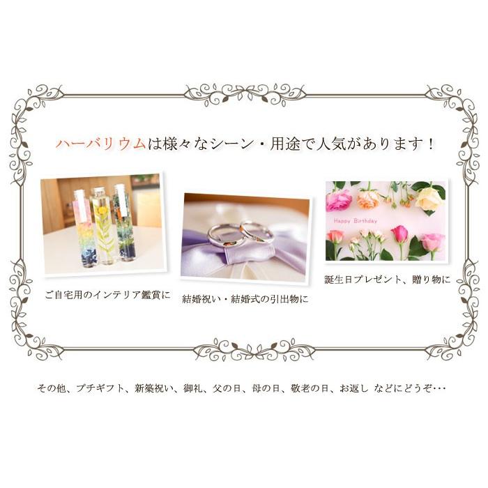 ハーバリウム 海 - Sea 【完成品】 オリジナル 母の日 誕生日