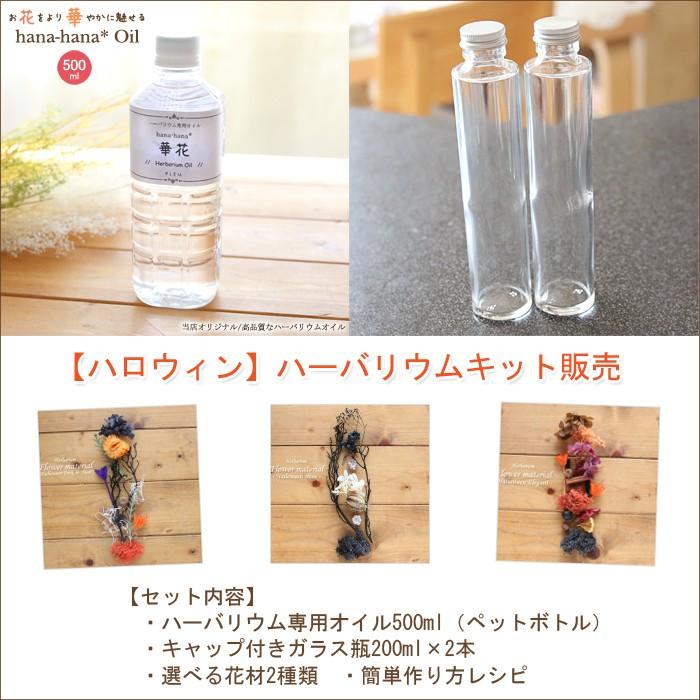 ハーバリウム キット 花材 手作り 2本分 ハロウィン ハーバリウム手作りキット オイル1本 ガラス瓶2本 花材セット2種類 ハーバリウム花材のお店acornstyle 通販 Yahoo ショッピング