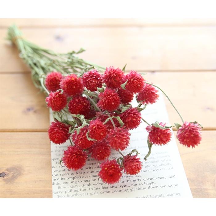 マイフラ】 通販/風の花 千日紅ミックス ドライフラワー 25本入 ナチュラル DN140001(花径 約1.5～2cm): ドライフラワー  ナチュラル素材/全国にMAGIQ、花器、花資材などをお届けします。