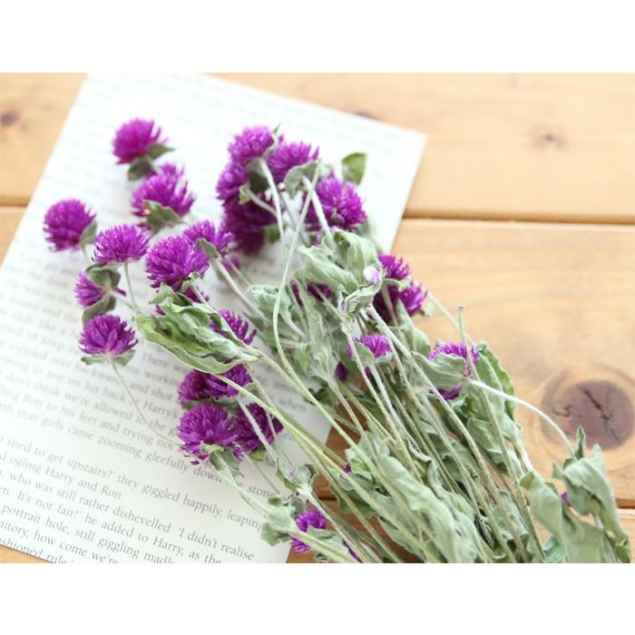 396円 22秋冬新作 季節限定販売 Afステム付き 千日紅 紫 ドライフラワー